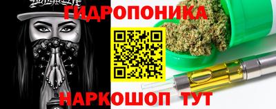 дмт Гусев