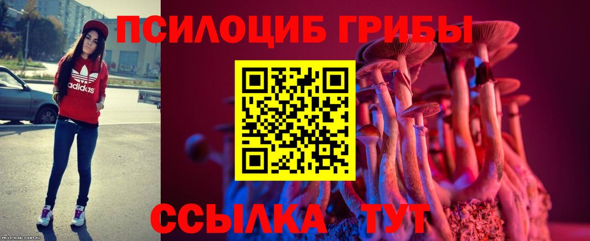Галлюциногенные грибы Magic Shrooms Ливны